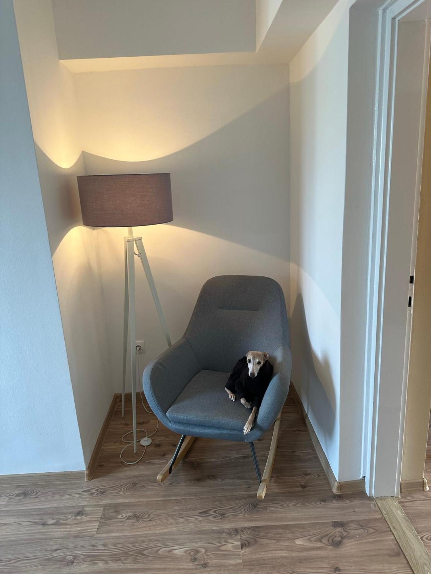 Home Sweet Apartment Xl Bük Exteriör bild